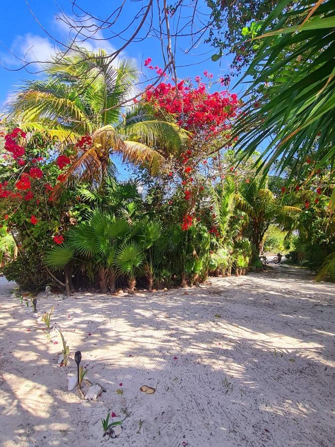 Hotel Maya Luna Adults Only Mahahual Exterior foto